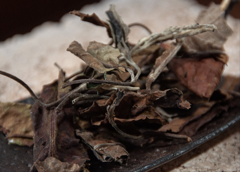 Banzhang White Tea