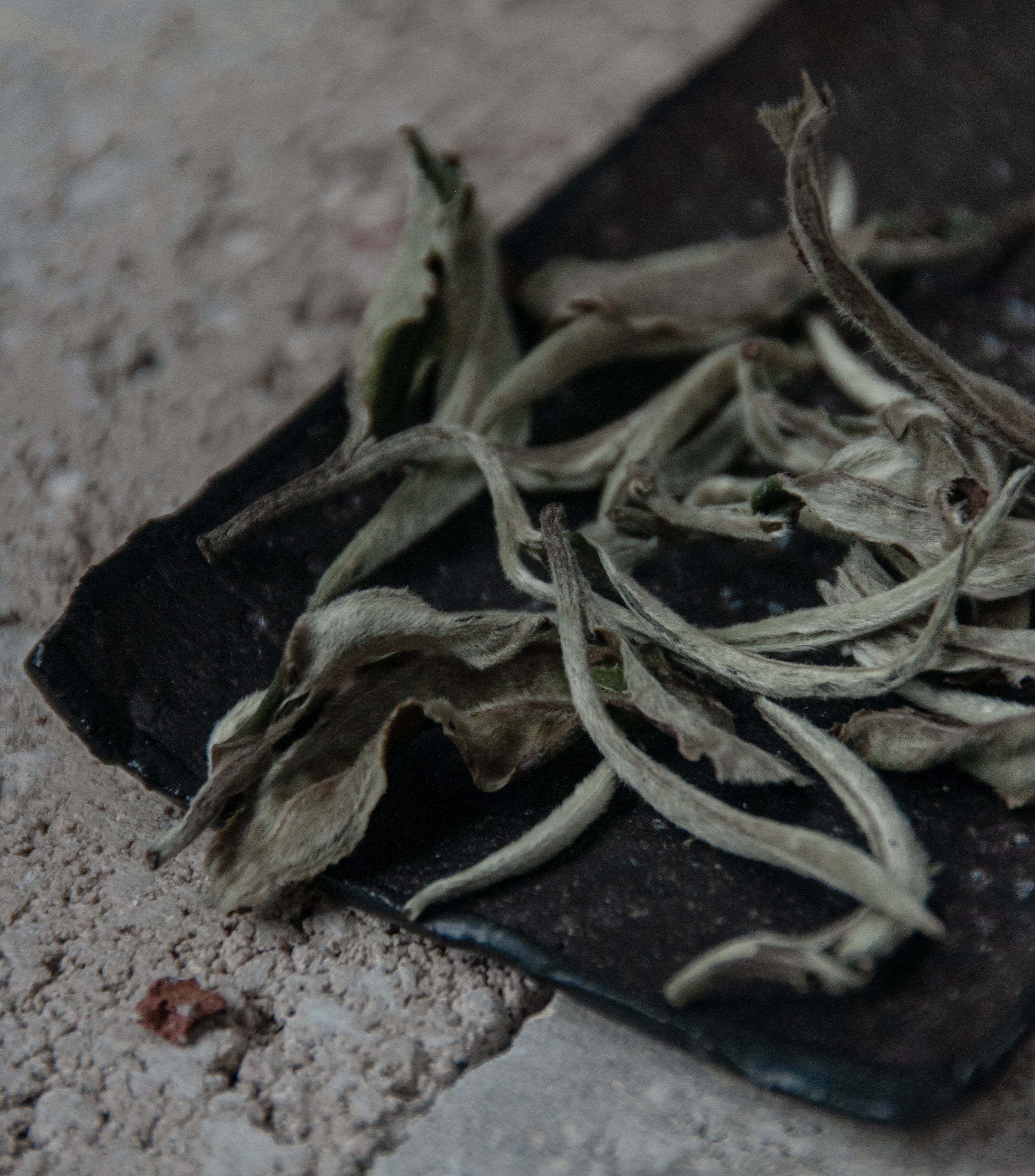 Kunlu Mountain White Tea